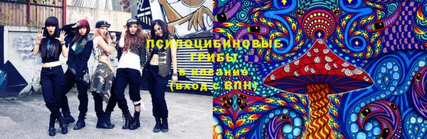 гидропоника Вязьма